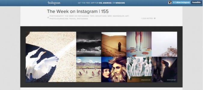 Instagram UGC Blog